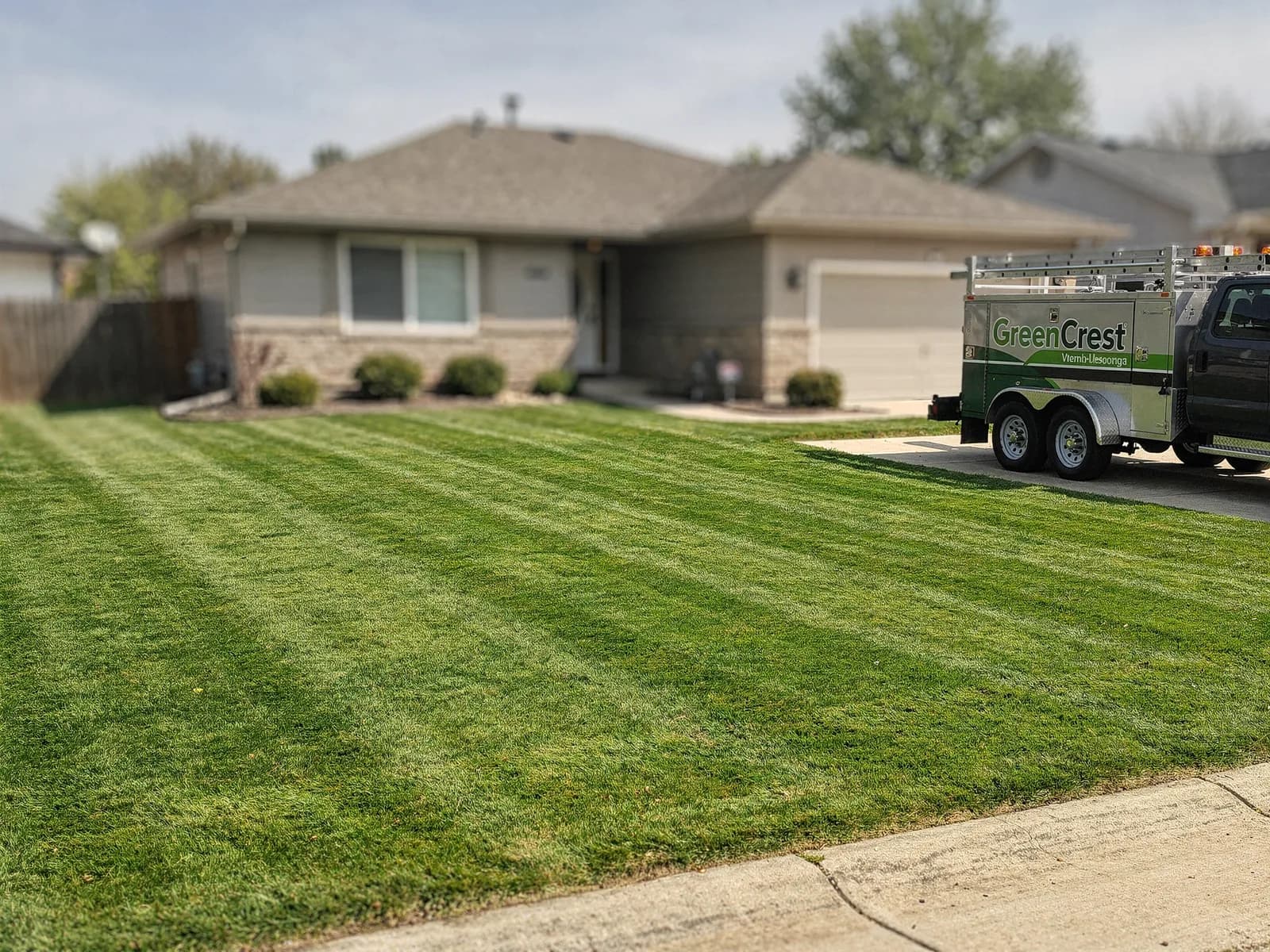 Striped freshly mown front lawn of a Lakewood ranch home with a GreenCrest crew trailer at the curb